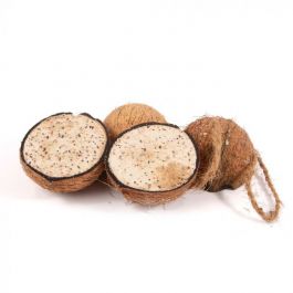 Gefüllte Kokosnuss mit Mehlwürmern, halb, 4er Pack
