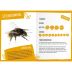 Mein Insektenbüchlein