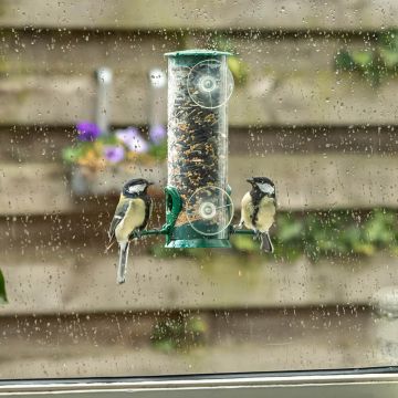 Fenster-Futtersäule „Discovery“