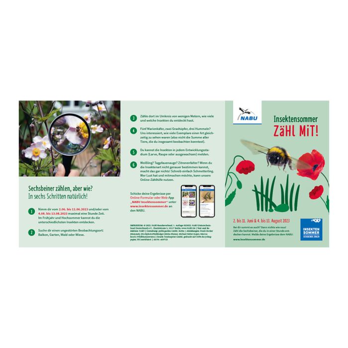 Flyer Insektensommer 2023
