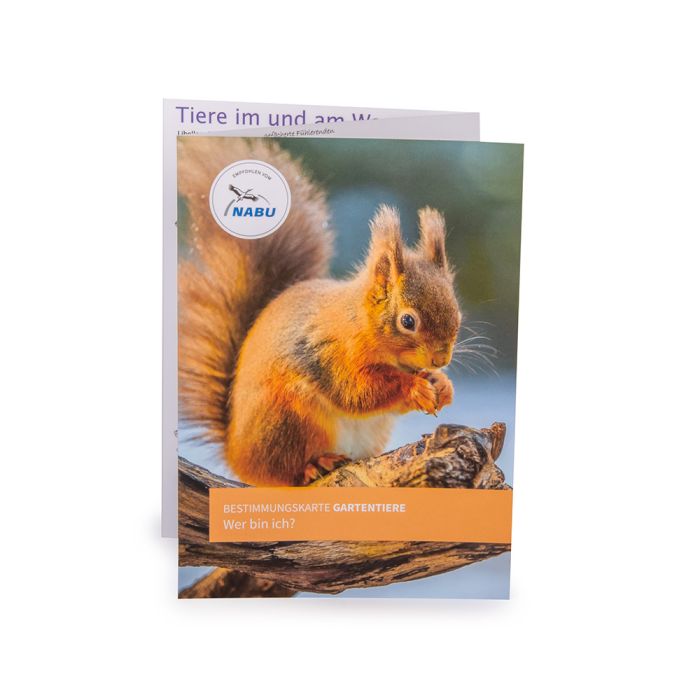 NABU Bestimmungskarte: Gartentiere