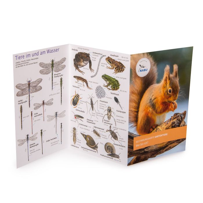 NABU Bestimmungskarte: Gartentiere