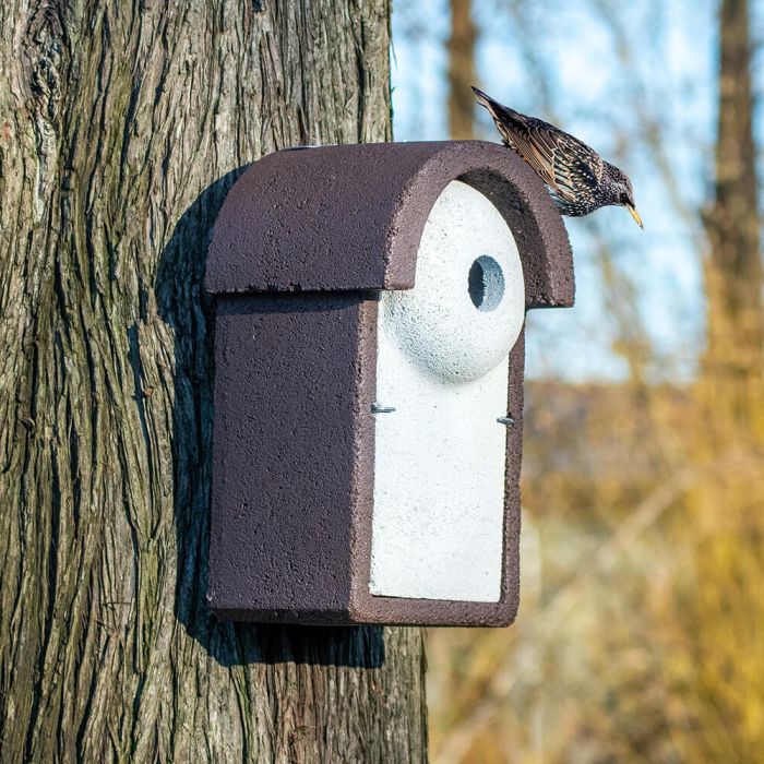 Nistkasten Holzbeton für Stare, 45 mm