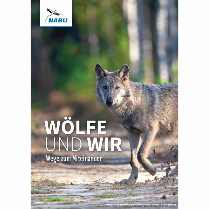 Wolf. Wege zum Miteinander - Poster A3