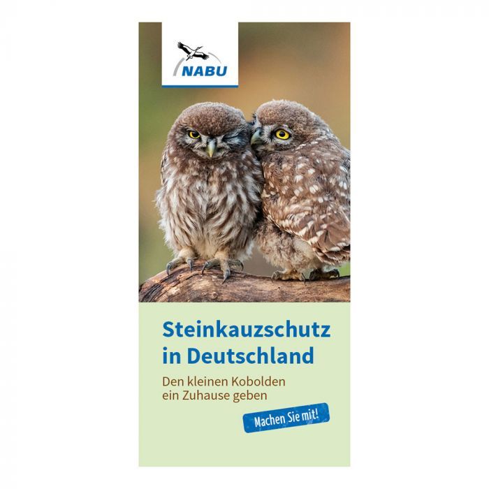 Faltblatt Steinkauzschutz in Deutschland