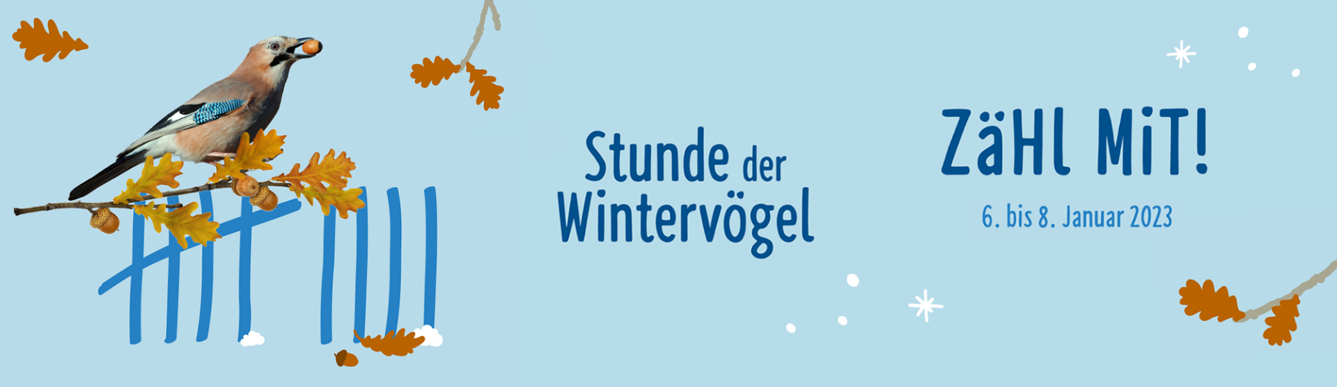 NABU-Shop - Stunde der Wintervögel 2023