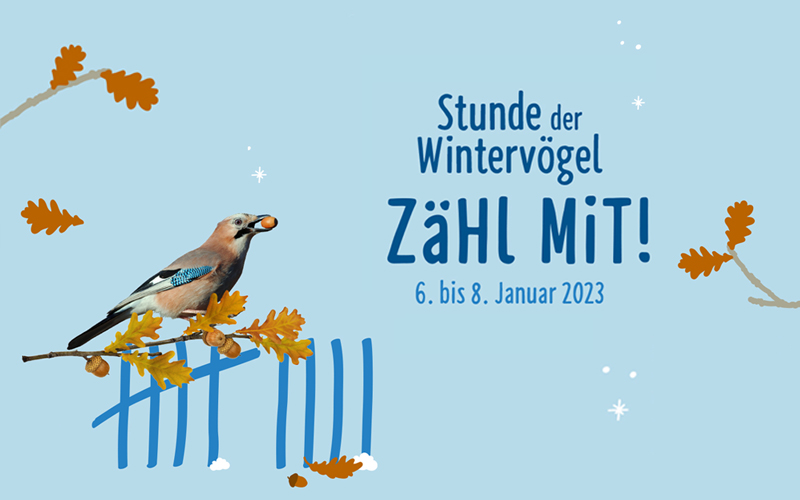 NABU-Shop - Stunde der Wintervögel 2023